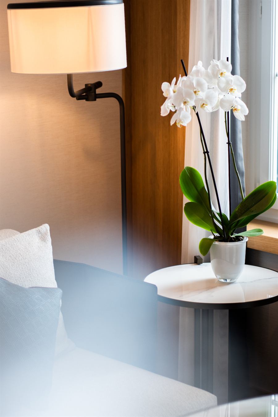 Quiet, minimal interior with natural light